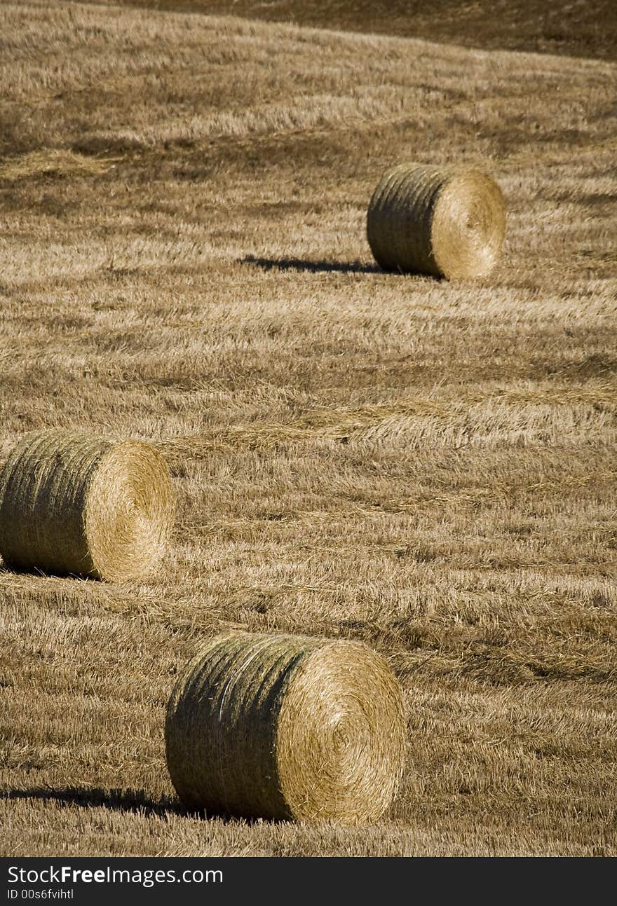 Tuscan countryside en italy central. Tuscan countryside en italy central