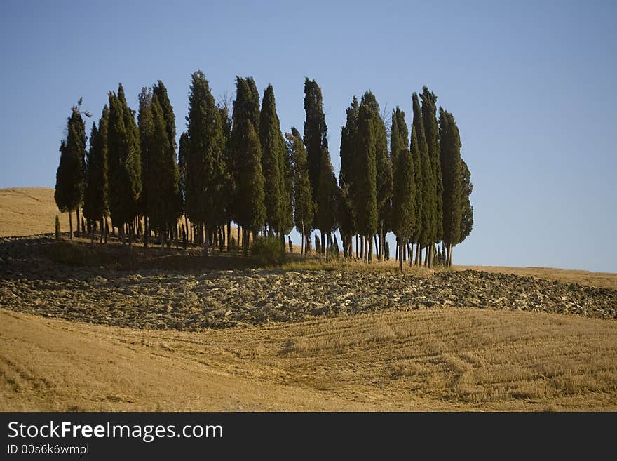 Tuscan countryside en italy central with home. Tuscan countryside en italy central with home