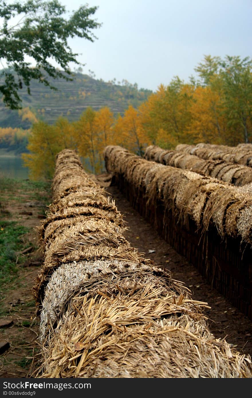 Ridges of straw haystack besides woods
