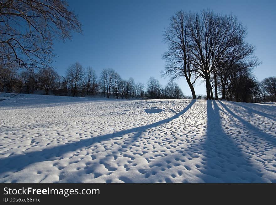 Early winter morning at the park. Trees in the distance casting long shadows on the ground. Early winter morning at the park. Trees in the distance casting long shadows on the ground.