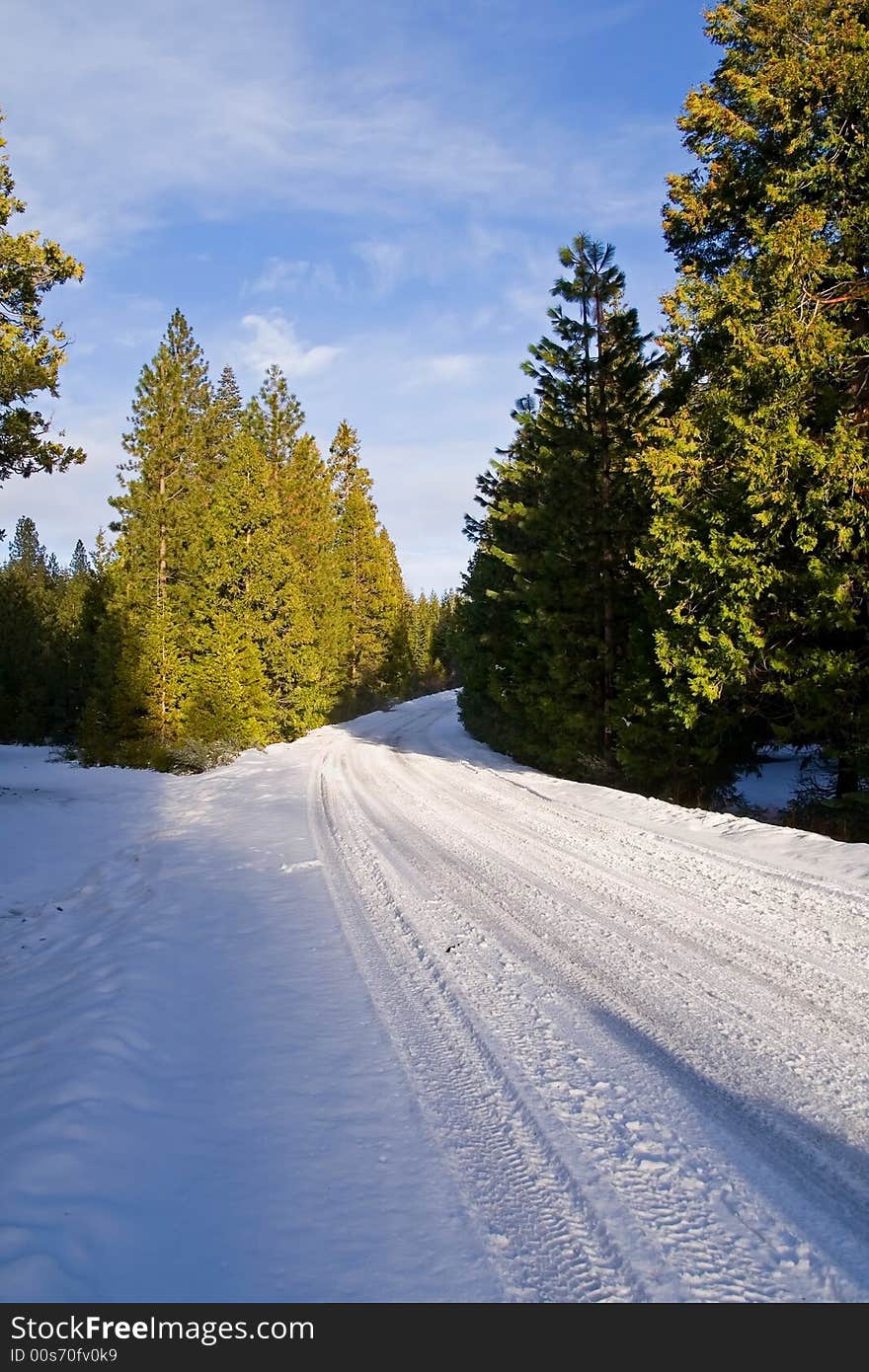 Snowy road through forest