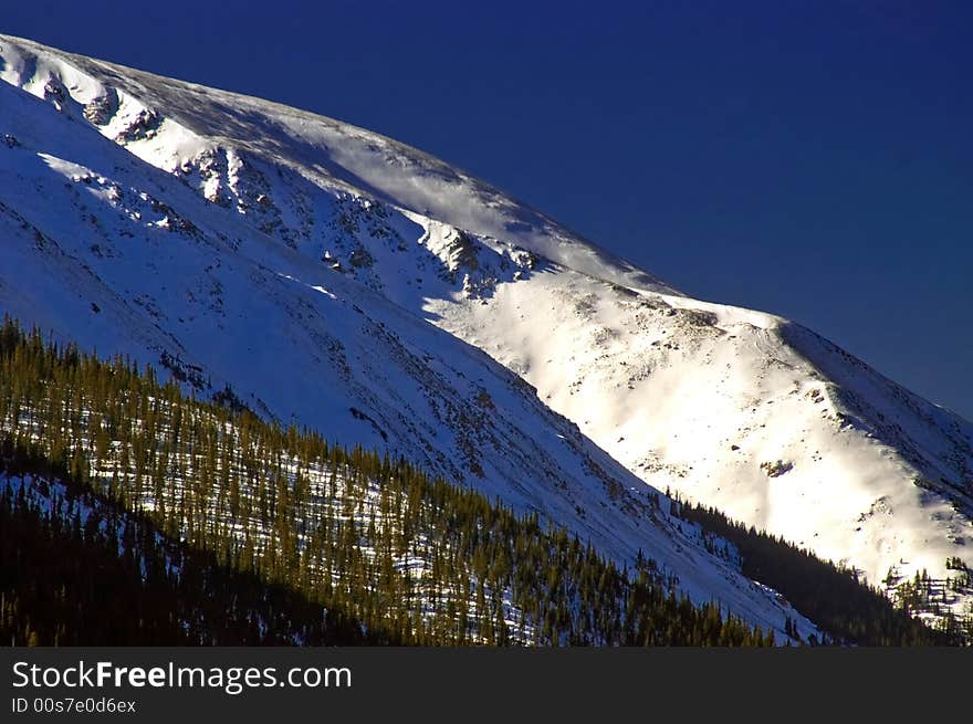 Colorado Mountain Slope with Snow and Pine Trees