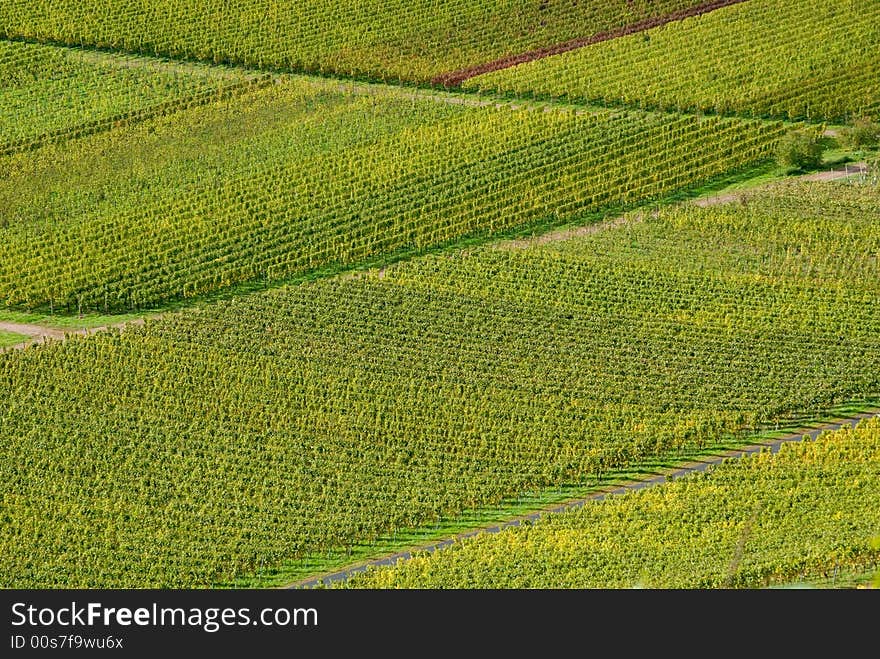 Wineyards