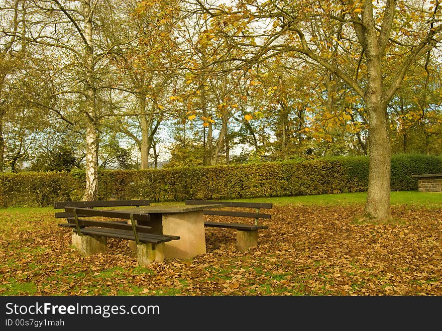 Autumn in a beautiful park