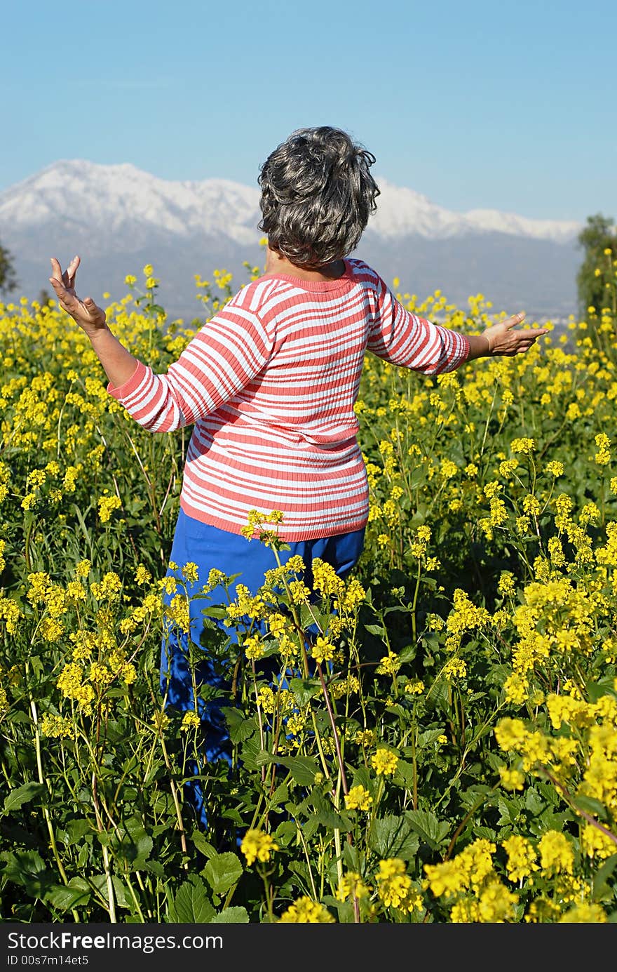 Older woman admiring the sight of mountains and blooming meadow before her. Older woman admiring the sight of mountains and blooming meadow before her