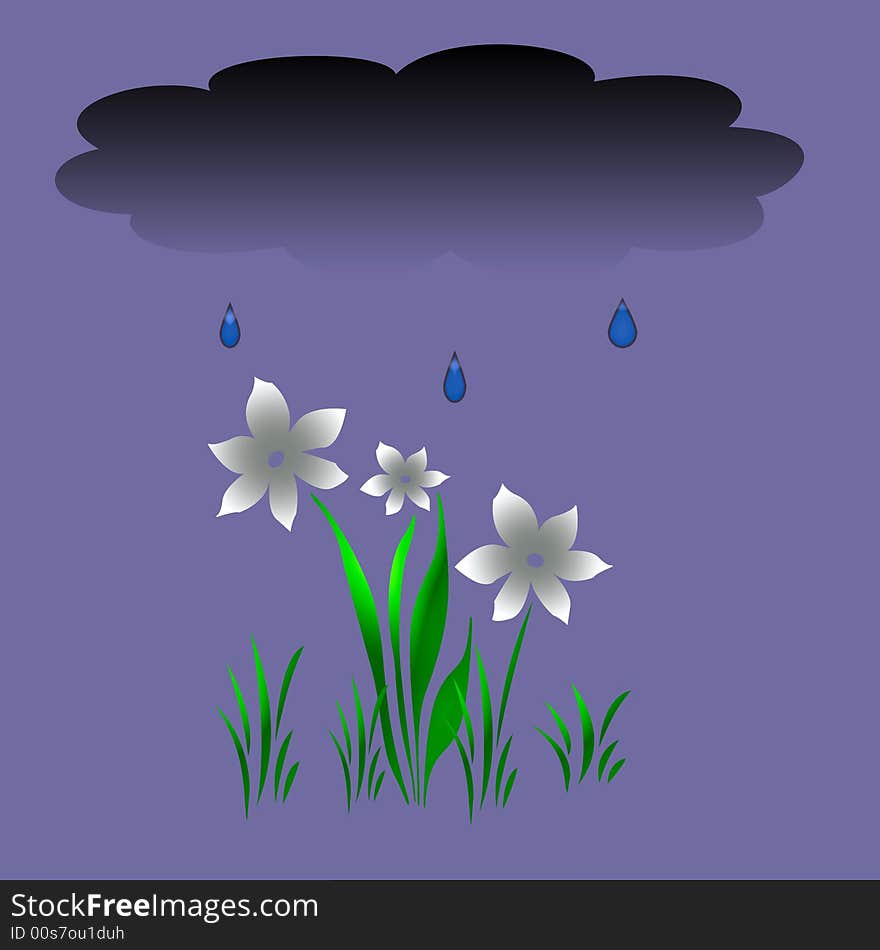 White flowers and leaves on  rainy background. White flowers and leaves on  rainy background