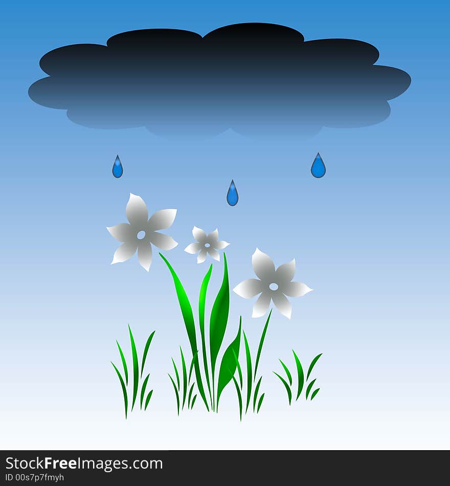 White flowers and leaves on  rainy background. White flowers and leaves on  rainy background