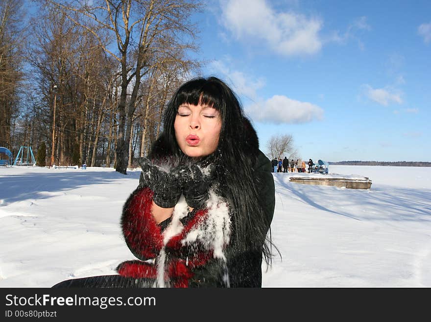 Blowing Snow. Winter's picture