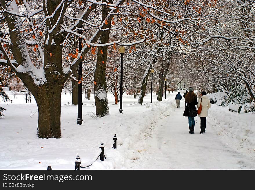 Stock image of a snowing winter at Boston, Massachusetts, USA. Stock image of a snowing winter at Boston, Massachusetts, USA