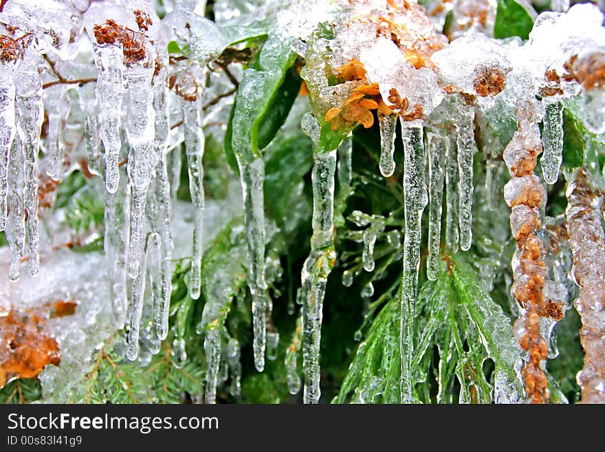 Stock image of a snowing winter at Boston, Massachusetts, USA. Stock image of a snowing winter at Boston, Massachusetts, USA