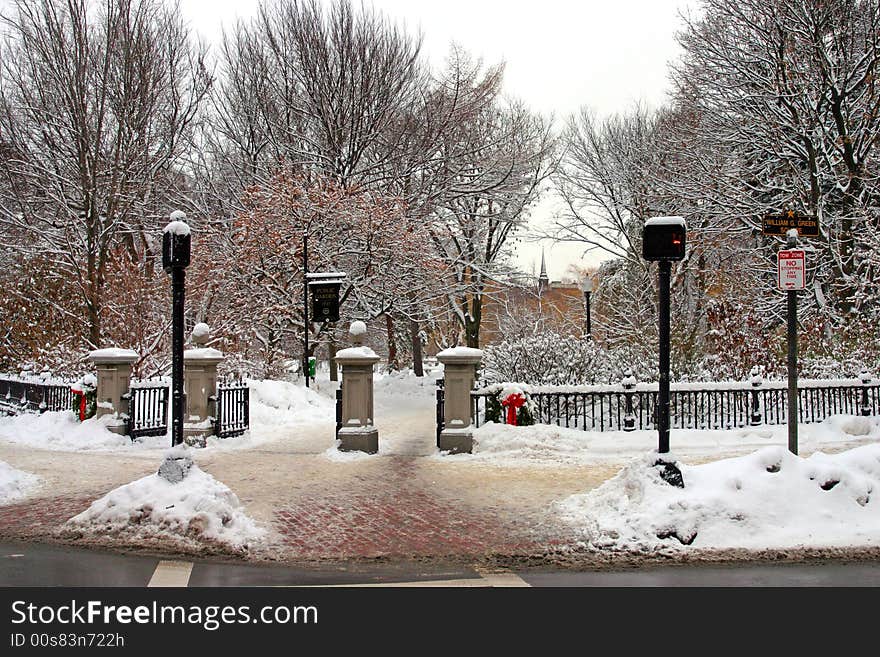 Stock image of a snowing winter at Boston, Massachusetts, USA. Stock image of a snowing winter at Boston, Massachusetts, USA