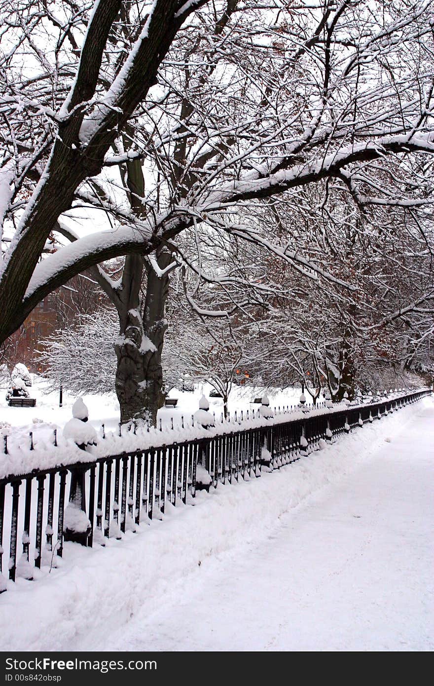 Stock image of a snowing winter at Boston, Massachusetts, USA. Stock image of a snowing winter at Boston, Massachusetts, USA