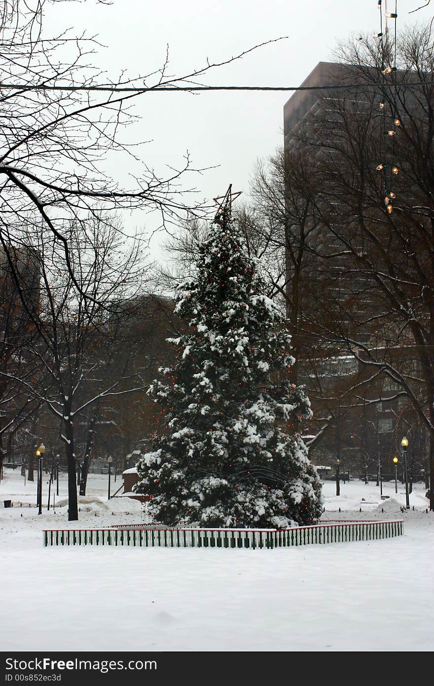 Stock image of a snowing winter at Boston, Massachusetts, USA. Stock image of a snowing winter at Boston, Massachusetts, USA