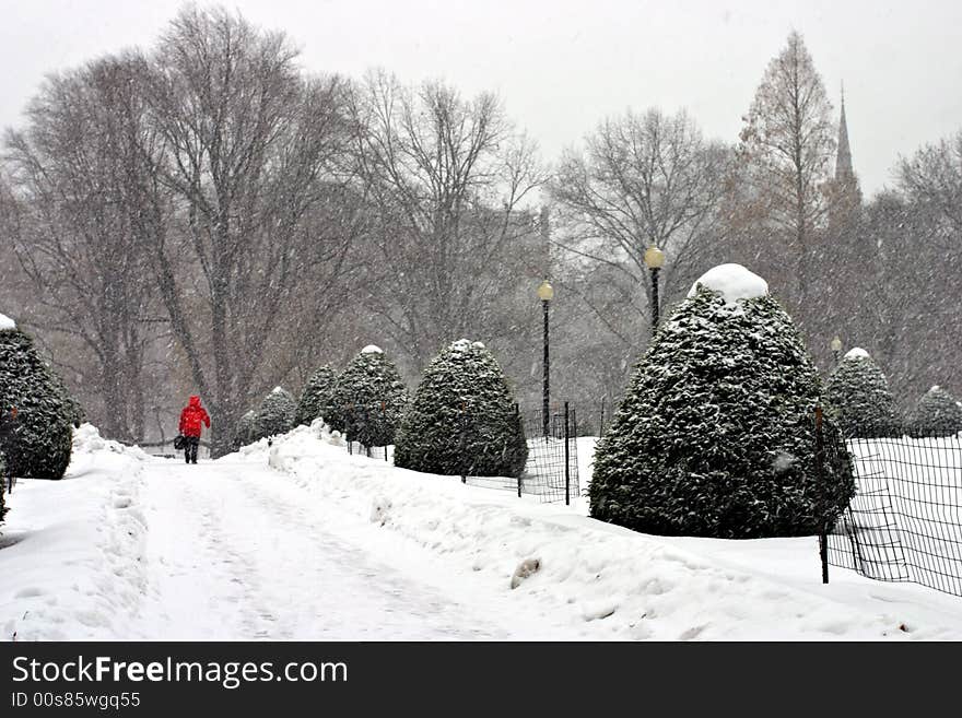 Stock image of a snowing winter at Boston, Massachusetts, USA. Stock image of a snowing winter at Boston, Massachusetts, USA