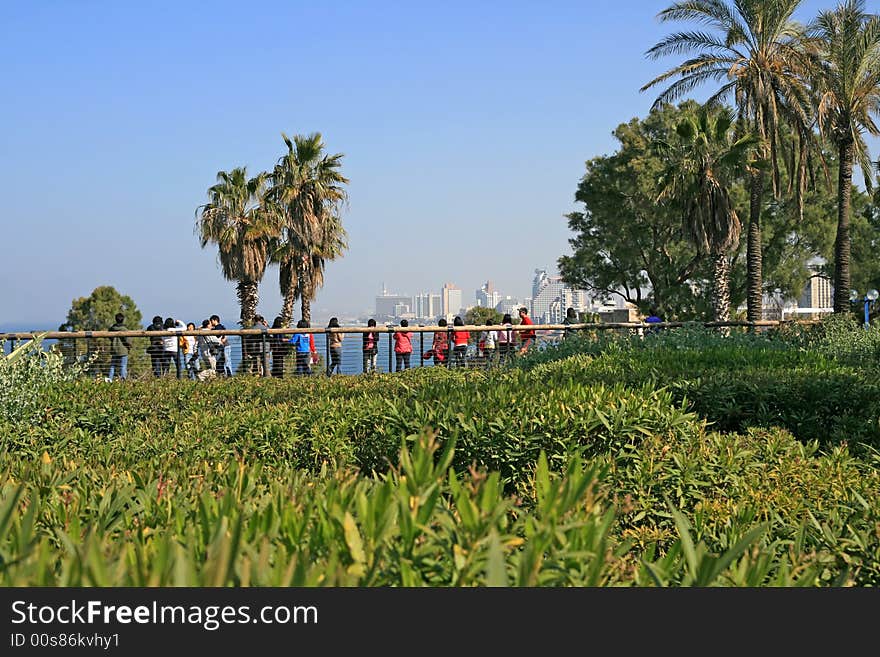 Kind on the city of Tel Aviv from the old city of Jafo. Kind on the city of Tel Aviv from the old city of Jafo