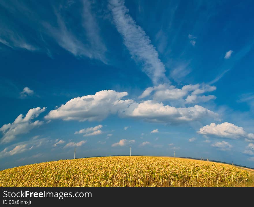 Summer landscape with meadows and blue sky. earth spere. Summer landscape with meadows and blue sky. earth spere