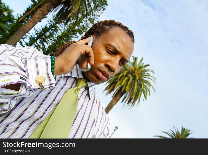 Businessman talking on the phone. Businessman talking on the phone