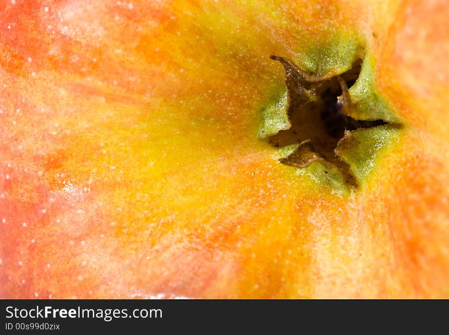 Macro red apple