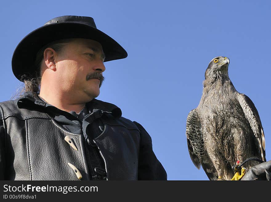 Goshawk with its falconer over a blue sky. Goshawk with its falconer over a blue sky