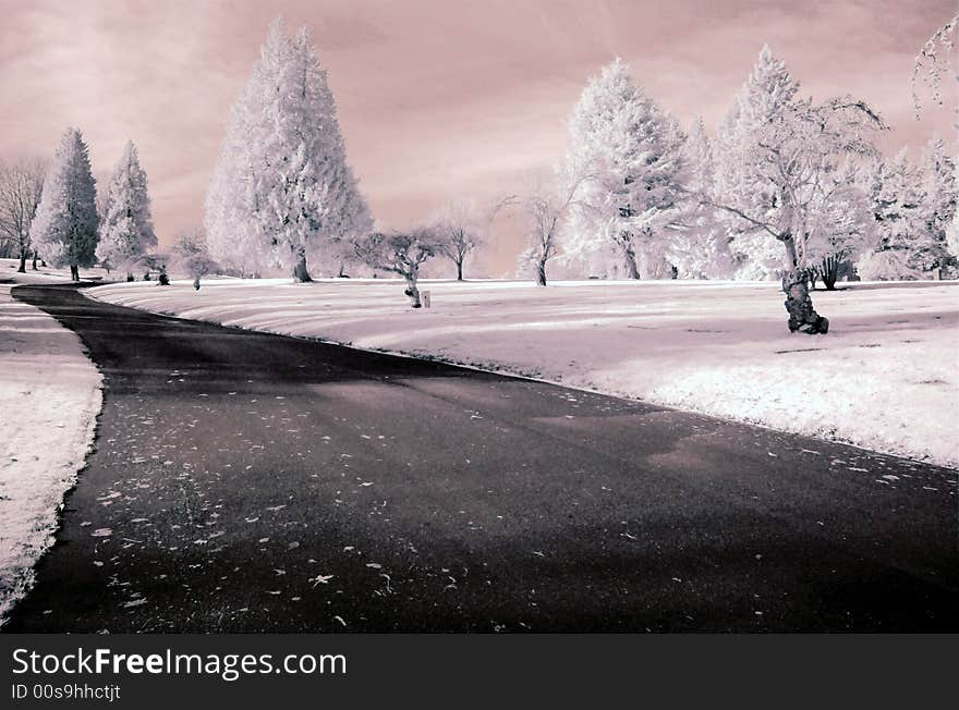 A road wanders through a cemetery in a dreamy scene. A road wanders through a cemetery in a dreamy scene