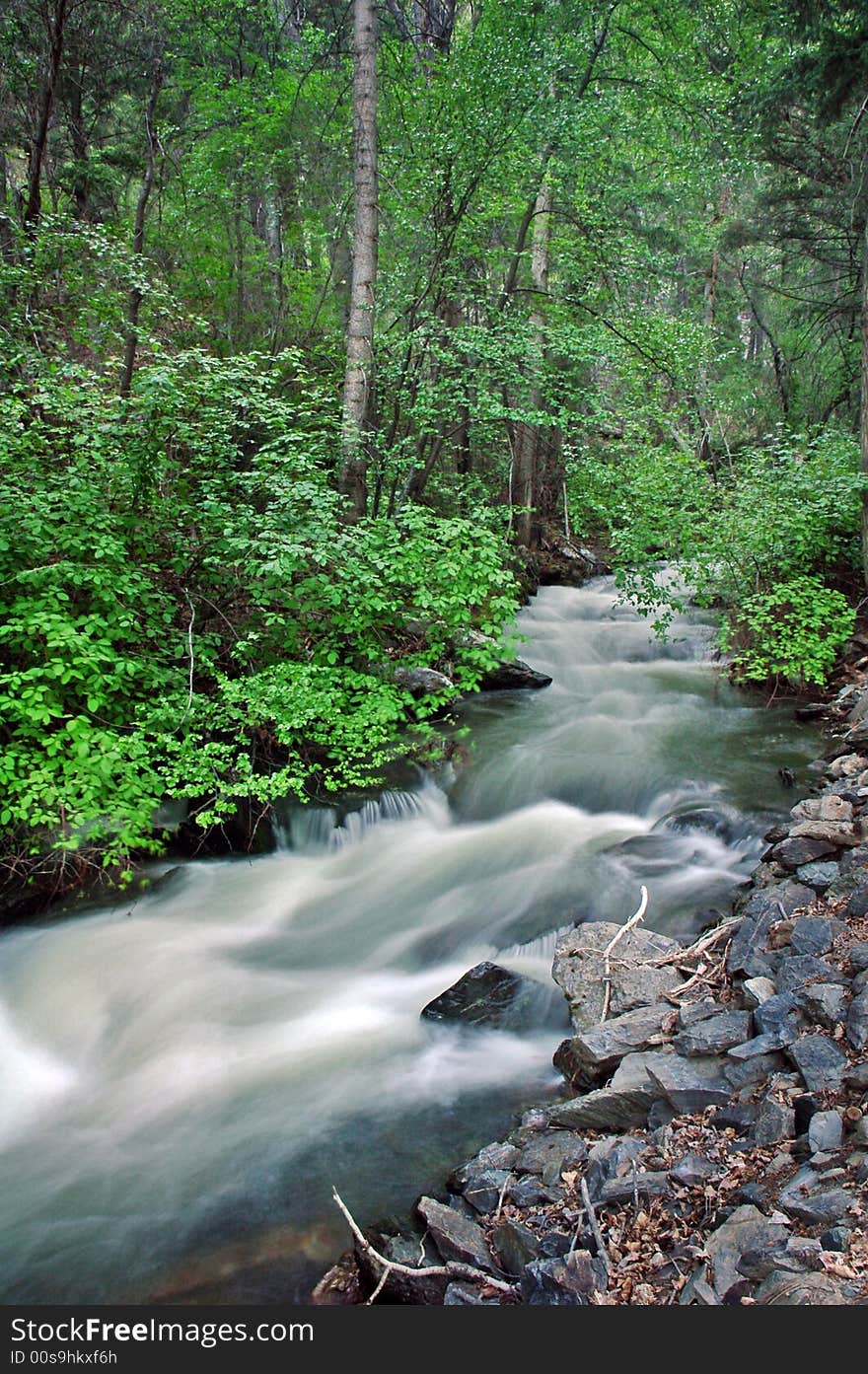 Water cascades through a mountain stream. Water cascades through a mountain stream