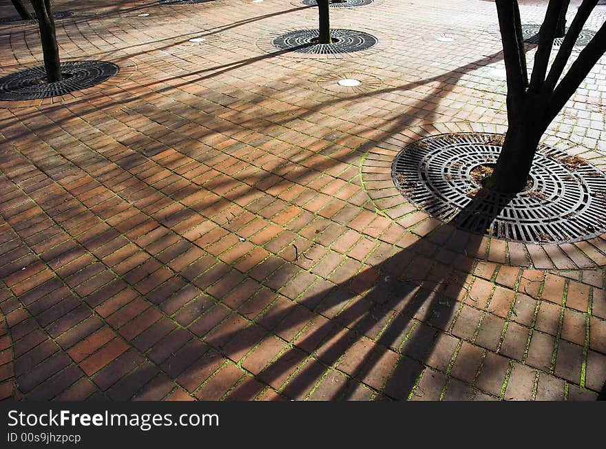 Shadows from a tree line up on a brick path. Shadows from a tree line up on a brick path