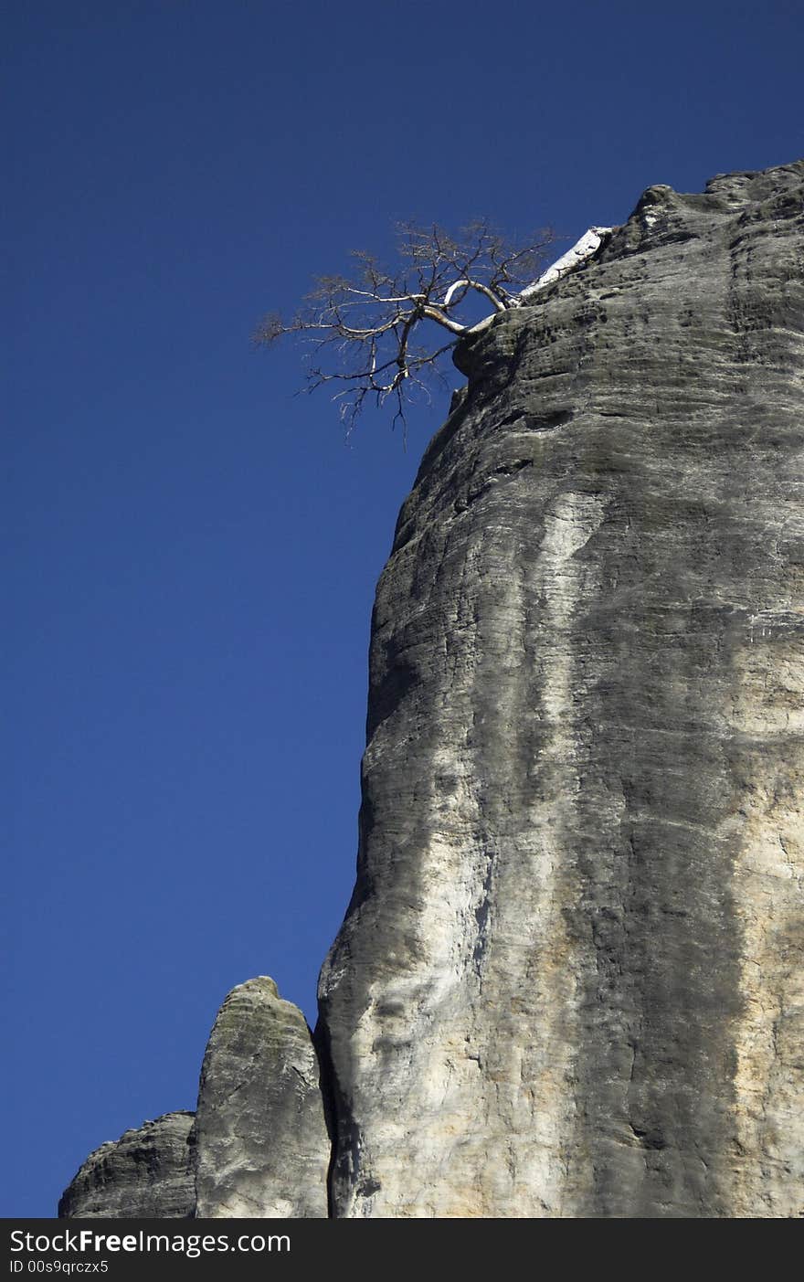 Dead tree on the edge of the sandstone rock under the cyan sky. Dead tree on the edge of the sandstone rock under the cyan sky