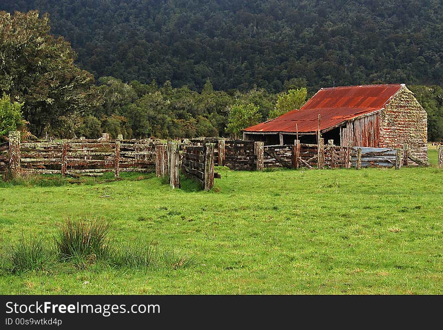 Lichen Covered Shed And Fencing