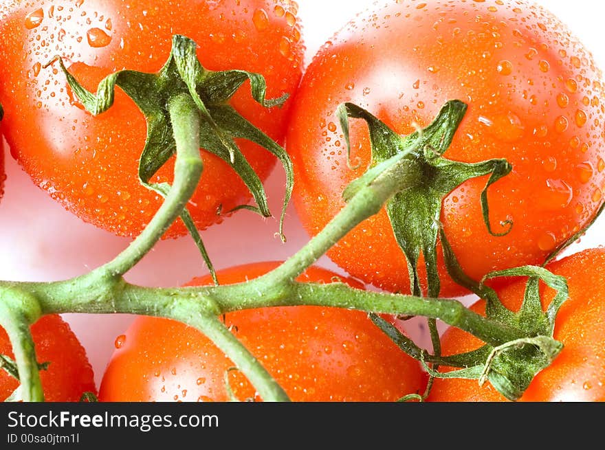 A branch of fresh red tomatoes on white background