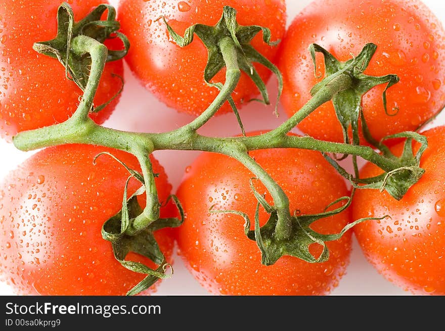 A branch of fresh red tomatoes on white background