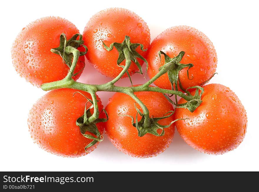 A branch of fresh red tomatoes on white background