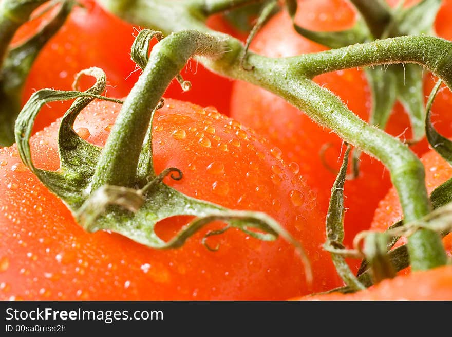 A branch of fresh red tomatoes, a close-up macro