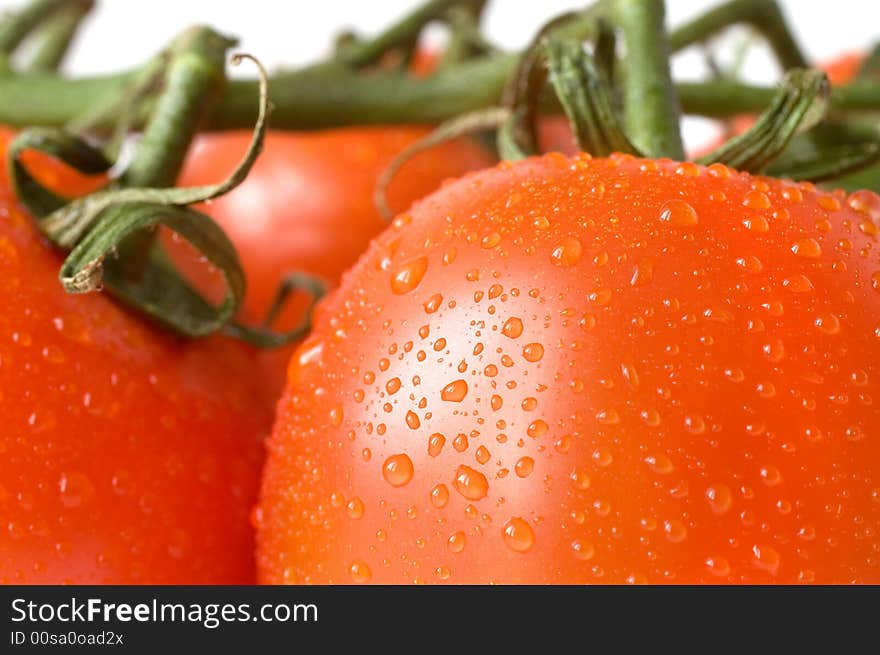 A branch of fresh red tomatoes on white background