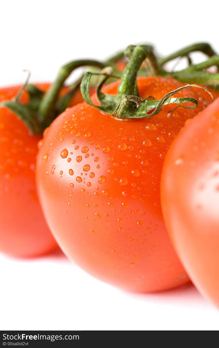 A branch of fresh red tomatoes on white background, a close-up macro