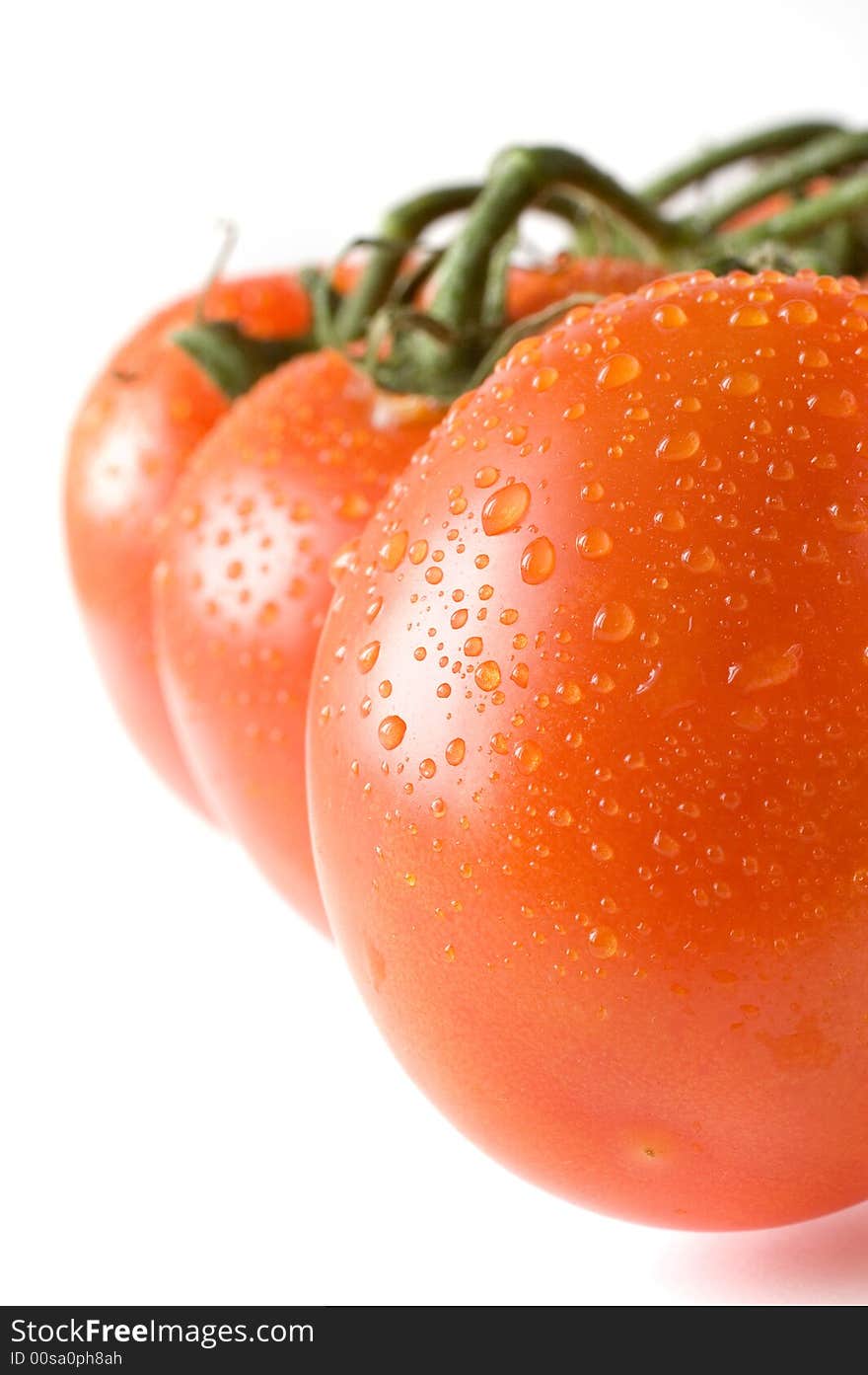 A branch of fresh red tomatoes on white background