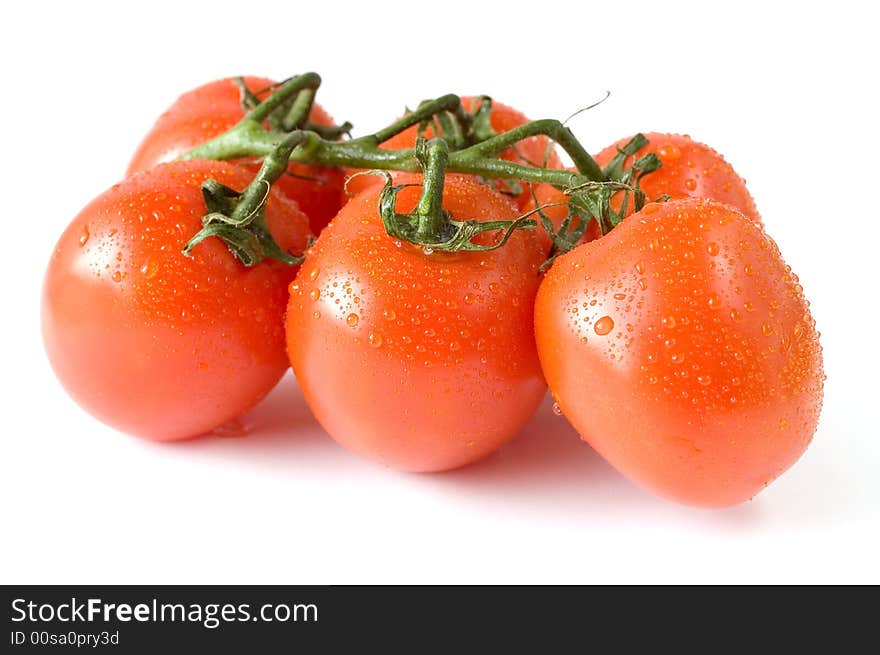 A branch of fresh red tomatoes on white background