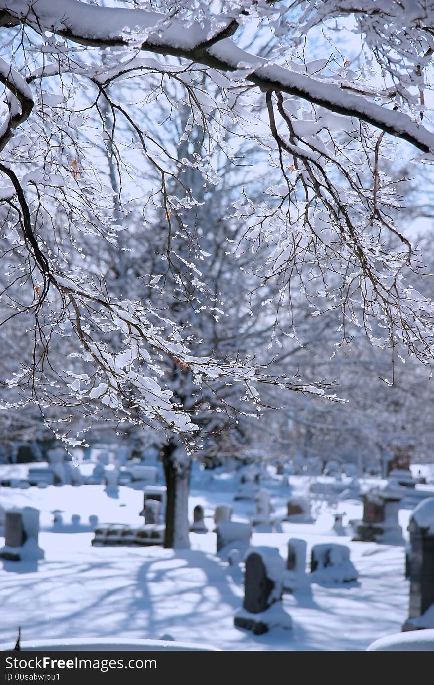 Cemetery under heavy winter snow