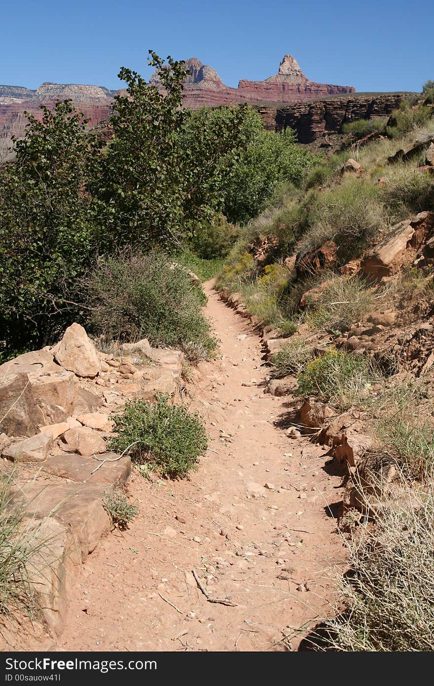 Grand Canyon,Arizona,USA