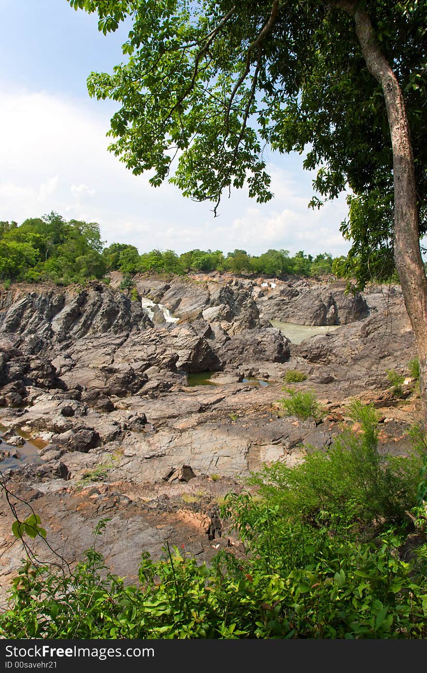 Rocky jungle river with tree growing on side