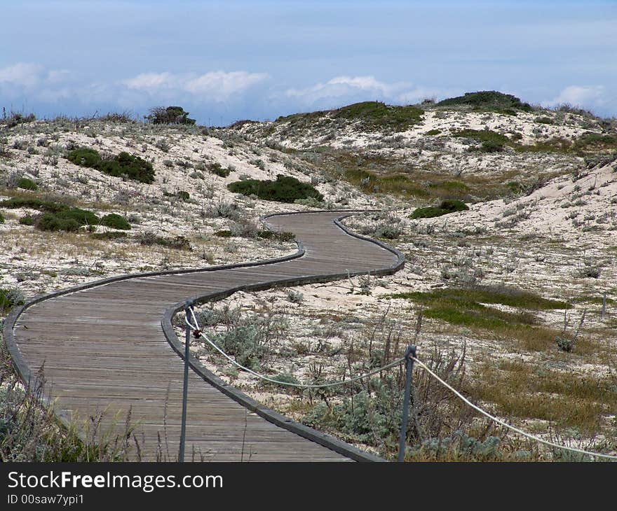 Snaky walkway in the dunes of northern California. Snaky walkway in the dunes of northern California