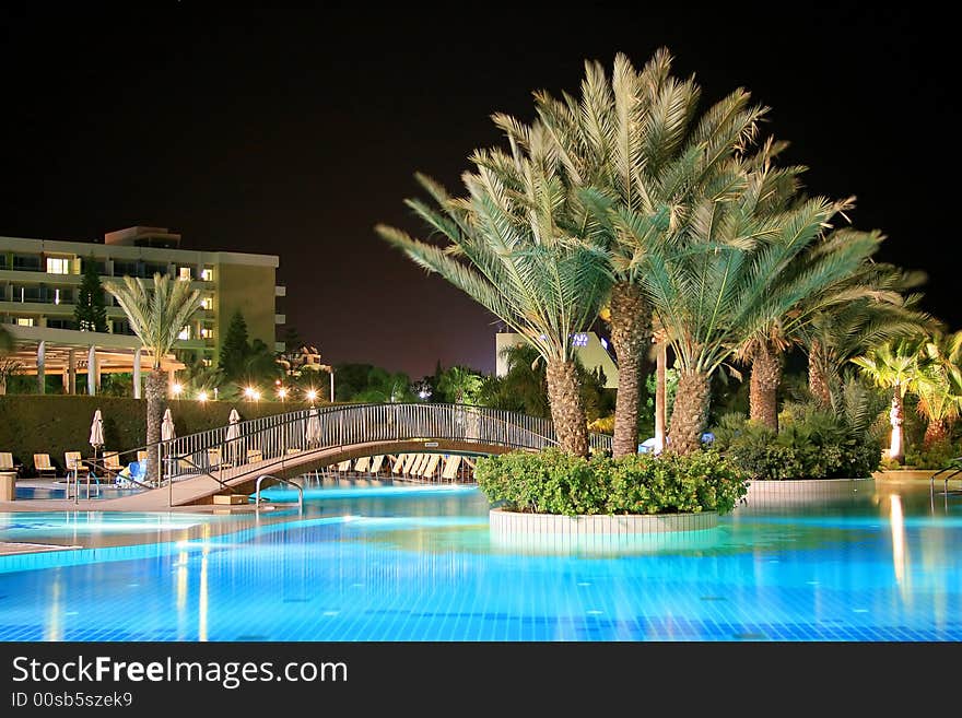 A hotel basin with palm tree and bridge