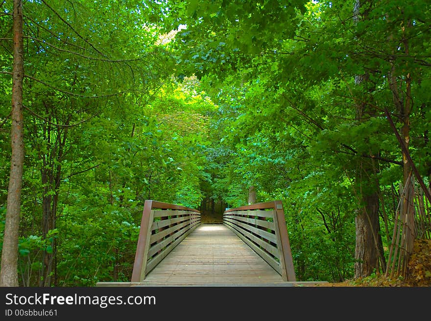 Rustic Bridge in the Woods