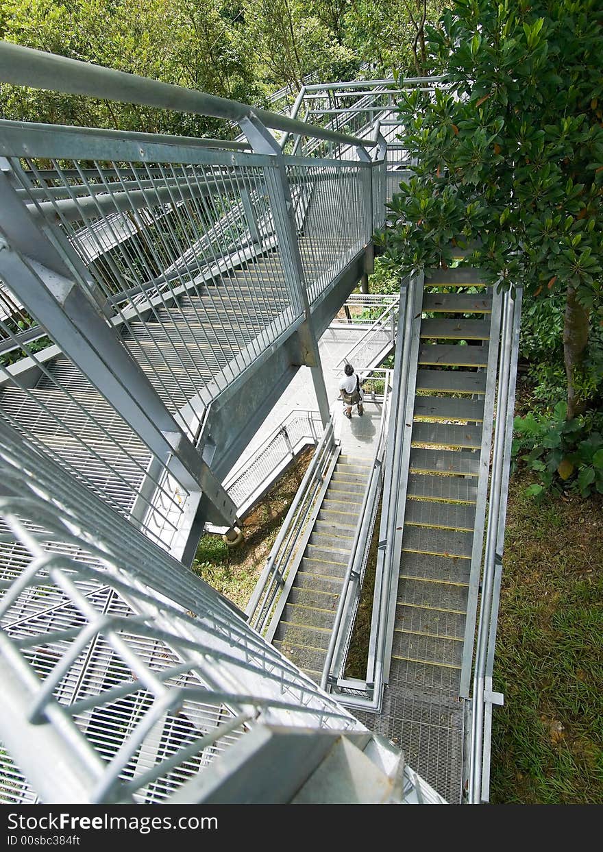 Aluminum walkway and staircases rising up a hill amongst the trees. Aluminum walkway and staircases rising up a hill amongst the trees