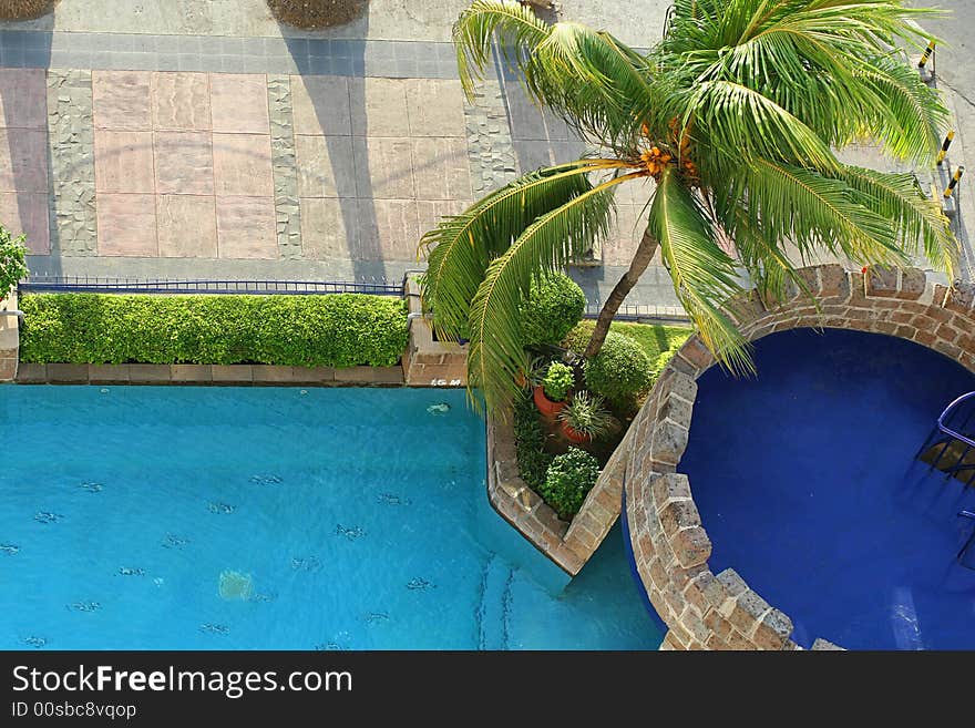 Pool with coconut tree at tropical country