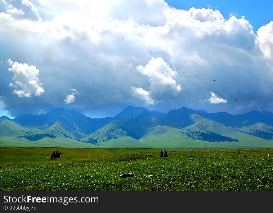 Meadow In Xinjiang-4