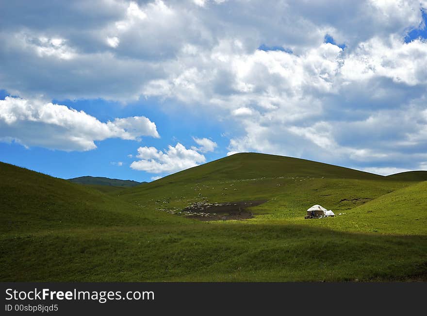 Passing themselves sheep in the mountain valley