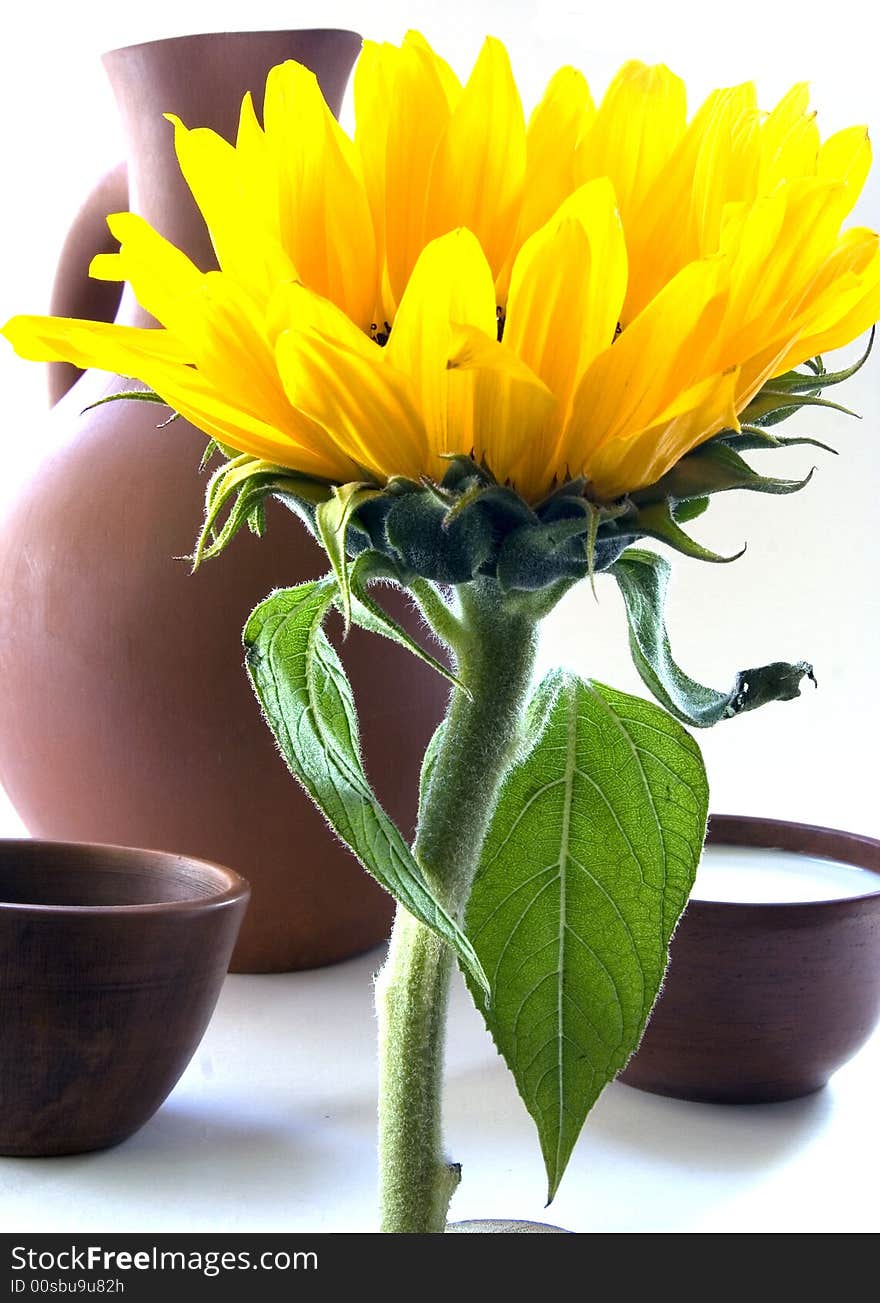 Sunflower Bran Flakes