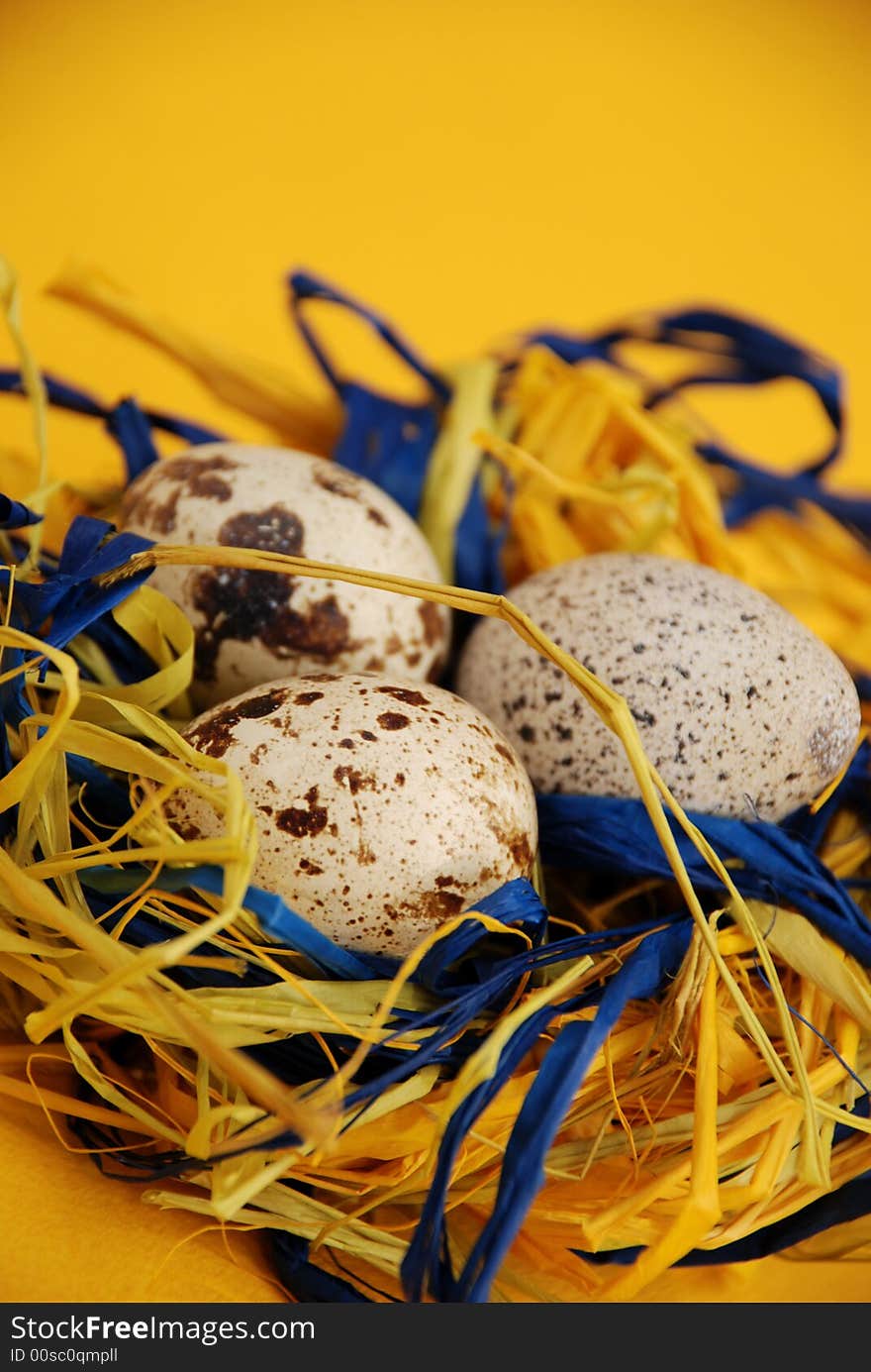 Quail mottled eggs decoration in a nest