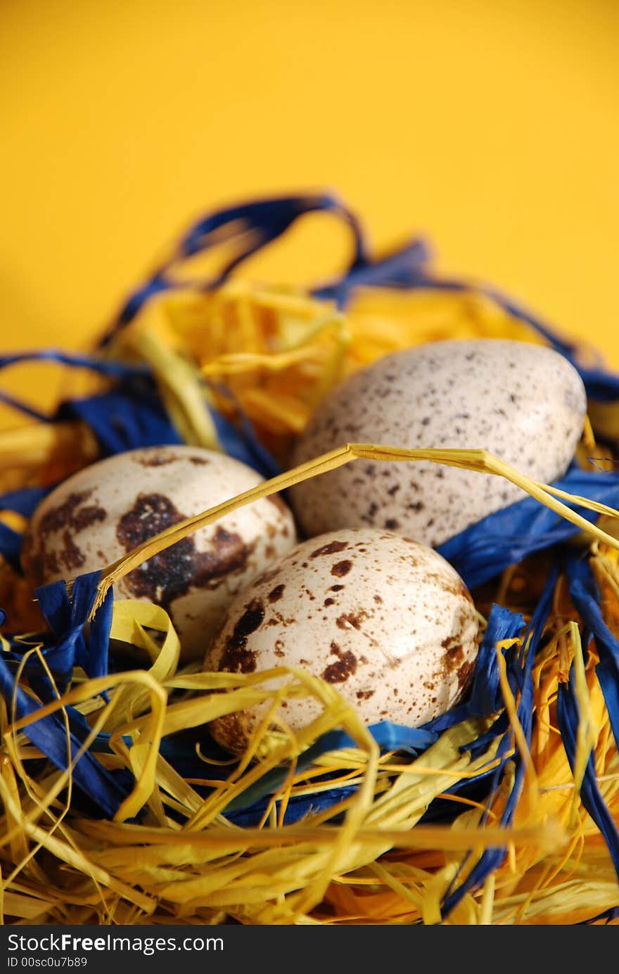 Quail mottled eggs decoration in a nest