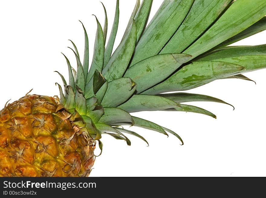 Fresh pineapple on white background